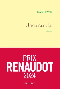 Jacaranda - Édition signée